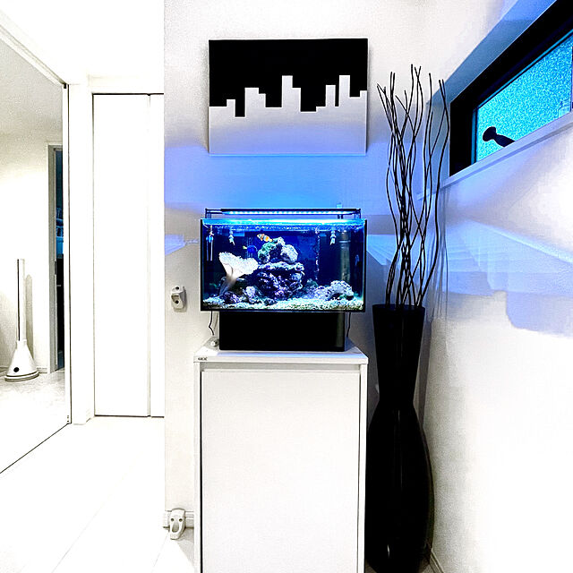 Akiのジェックス-ジェックス 水槽 グラステリア アグス OF-450の家具・インテリア写真