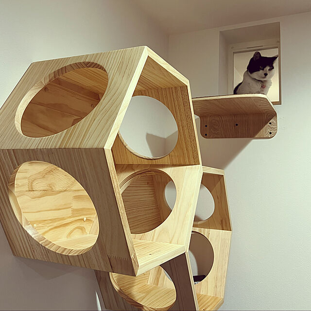 KAZUMAの-MYZOO マイズー 六角ハウス キャットステップ本体 【1セット】 #猫 キャット ウォーク ステップ タワー おしゃれ 棚 アクリル 壁付け スタイリッシュの家具・インテリア写真