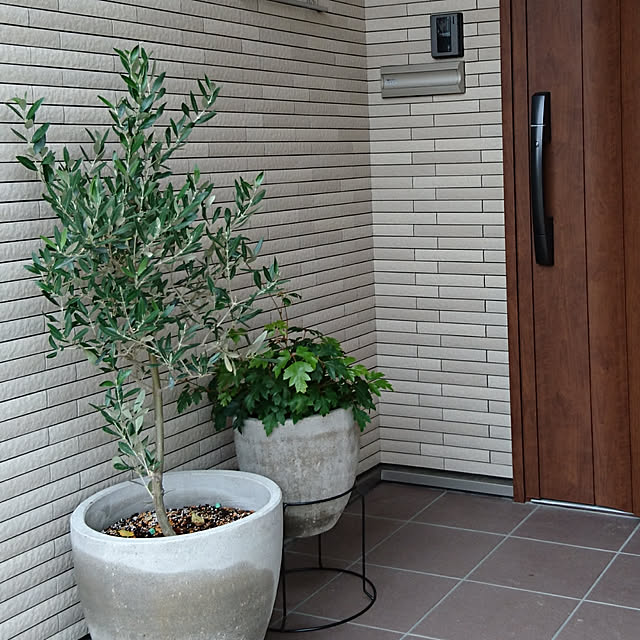 KID_Aの-コルテス　ラウンド　30 　≪植木鉢 ラフ セメントプランター 大型 モダン≫の家具・インテリア写真
