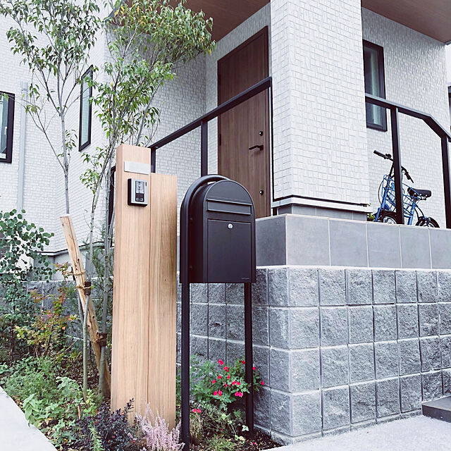 YY75の-丸葉ユーカリ 『 ポポラス 』 6号鉢植えの家具・インテリア写真