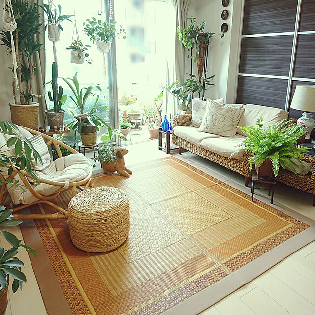 YuriYuriのイケヒコ・コーポレーション-い草ラグ　ＤＸランクス　【イケヒコ】の家具・インテリア写真