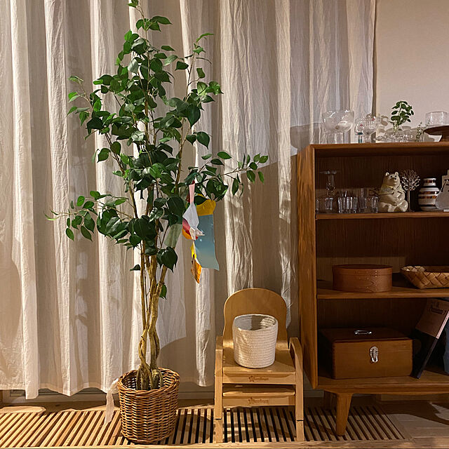 eriのクレエ-プランター 植木鉢 カバー 観葉植物 おしゃれ 公式 アラログ 鉢カバー M  WPLの家具・インテリア写真