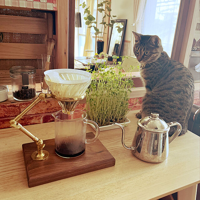 MのBaoblade-Baoblade 真鍮茶フィルターホルダー木製ベース茶葉ストレーナースタンドラックコーヒーフィルターカップブラケット高さ調節コーヒーレストランの家具・インテリア写真