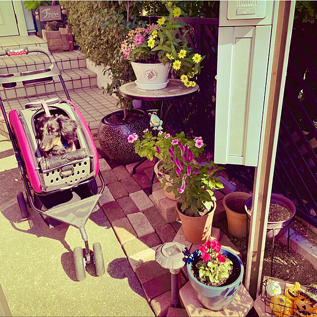 Maiのアイリスオーヤマ-ペット カート 犬 猫 ペットカート 3輪 キャリーケース おしゃれ キャリーバッグ キャリー いぬ ペットキャリー 犬用 ペットカート 多頭 4WAY ペット用 ペットバギー ドライブボックス アイリスオーヤマ FPC-920の家具・インテリア写真
