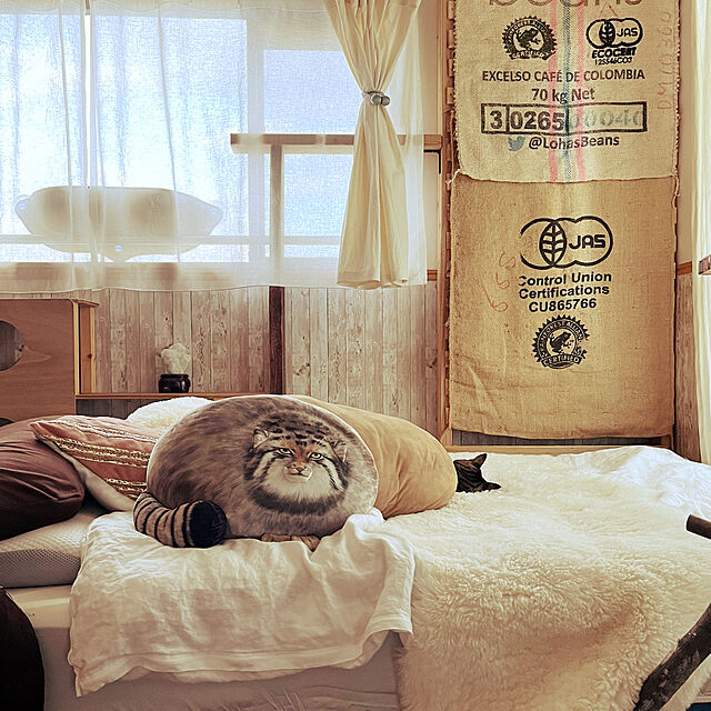 Mの-YOU+MORE! 丸すぎる世界最古の猫 マヌルネコもっちりクッション フェリシモ FELISSIMO【送料無料】の家具・インテリア写真