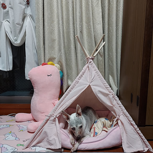 nobuの-【10/1限定☆クーポンで11%OFF】 ペット テント 犬 猫 ペット用テント 小屋 室内 ペットハウス 室内用 ドッグハウス ティピー ティピーテント ペットテント 洗える オシャレ 約 幅60 奥行60 高さ70cm 全4色 ETC001575の家具・インテリア写真