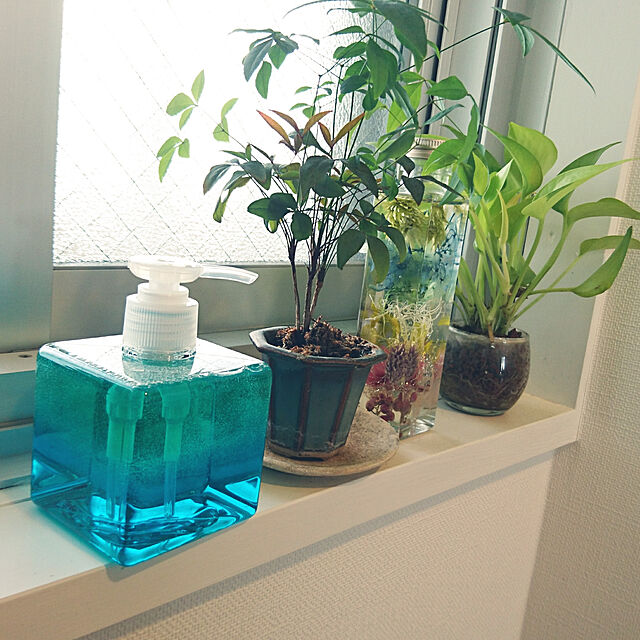 rakkoのP&Gジャパン(同)-ジョイ コンパクト 食器用洗剤 パワーミント 本体 200mlの家具・インテリア写真