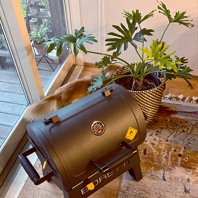 写真付きレビュー 炭火焼きの進化系 ボレッテイ チャコール q グリル Terzo テルツオ キャンプ イタリア ファイヤーサイド アウトドア おしゃれ 炭 バーベキュー コンロの通販商品 口コミ情報 Roomclipショッピング 写真付きレビュー 炭火焼きの進化系 ボレッテイ チャコール q グリル Terzo テルツオ キャンプ イタリア ファイヤーサイド アウトドア おしゃれ 炭 バーベキュー コンロの通販商品 口コミ情報 Roomclipショッピング