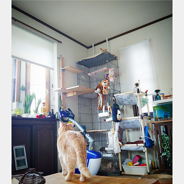 mntcの日本シール-エチケットブラシ ぱくぱくローラー アイボリー N76C [シュリンク]の家具・インテリア写真