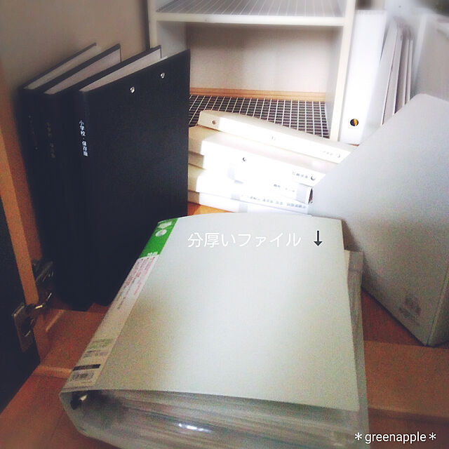 greenappleのコクヨ(KOKUYO)-コクヨ ファイル 個別フォルダー NEOS A4 板紙 10冊 オフホワイト A4-NEIF-WX10SETの家具・インテリア写真