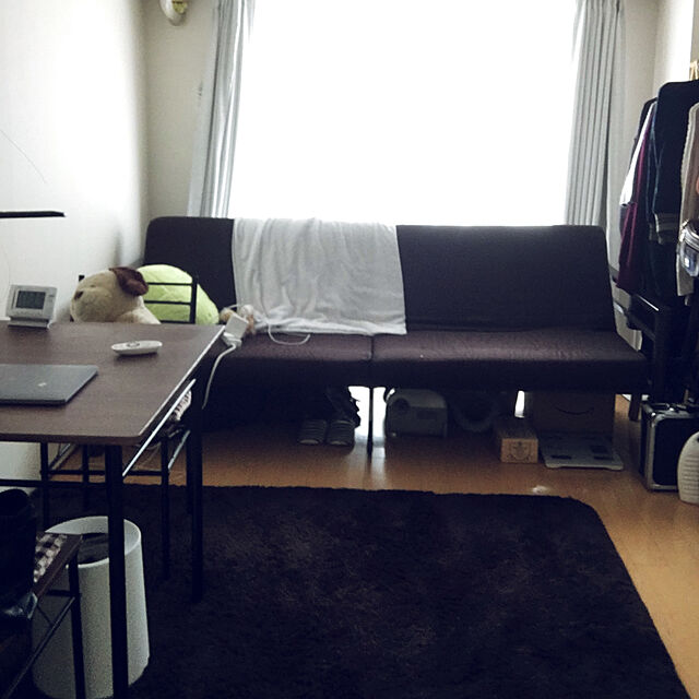 Syrupのニトリ-ソファパイプベッドフレーム(トリニティー BR) の家具・インテリア写真