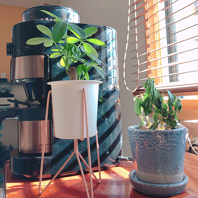 rookのsiroca-siroca コーン式全自動コーヒーメーカー SC−C123　ブラック／カッパーブラウンの家具・インテリア写真