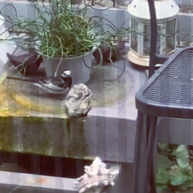 akiの-噴水 ファウンテン ソーラー 鳥 バードバス 水 水音 庭 ガーデン SALE アウトレット 訳あり タカショー / ソーラーファウンテン バードオアシス /小型 (rco)の家具・インテリア写真