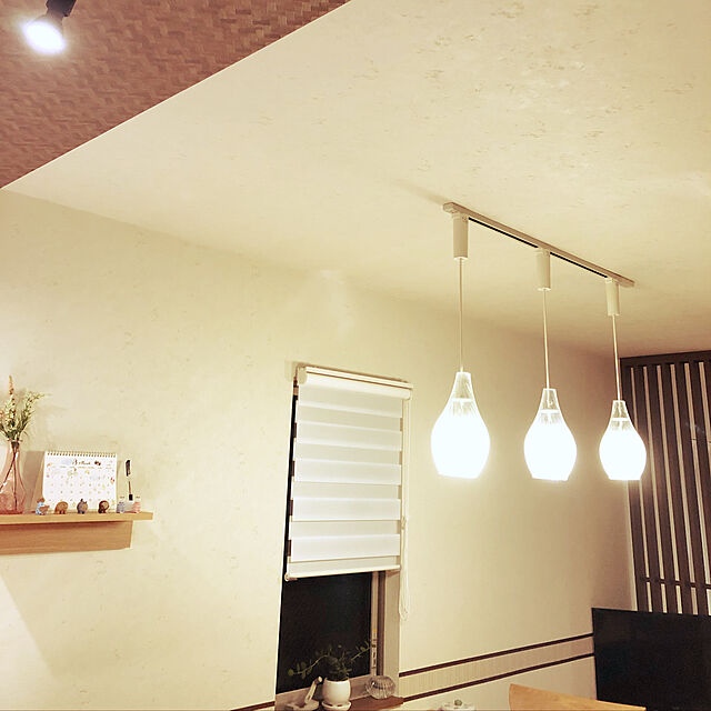 Shihoの大光電機-大光電機 ダクトレール用ペンダント DPN39934Yの家具・インテリア写真