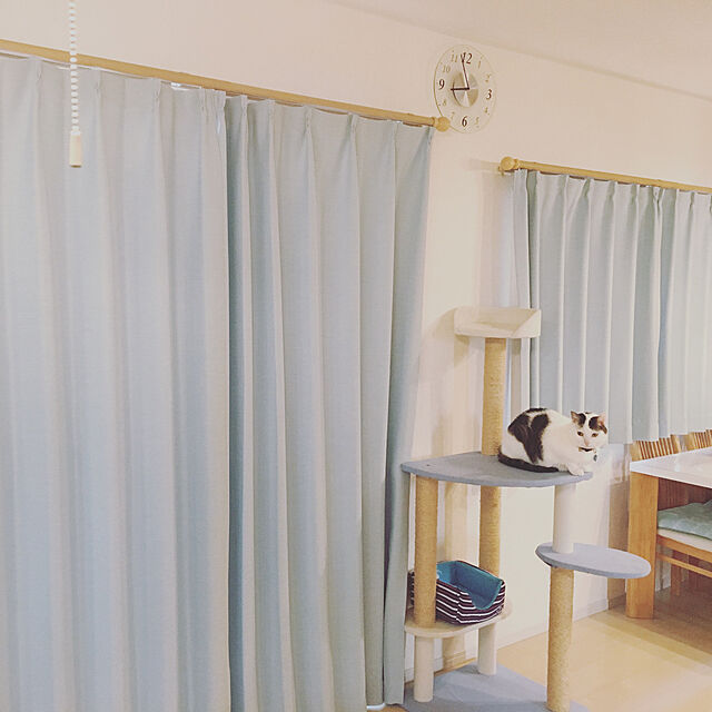 Mamiのニトリ-カーテンレール(リベルト NA 2M/W) の家具・インテリア写真