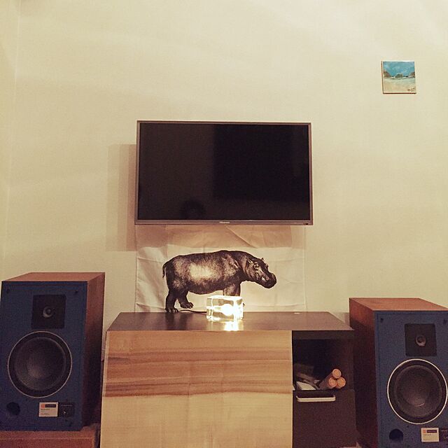 Shinpeiのスタープラチナ-テレビ壁掛け金具 ホッチキス止め TVセッター壁美人 TI100 Sサイズ ブラック TVSKBTI100SBの家具・インテリア写真
