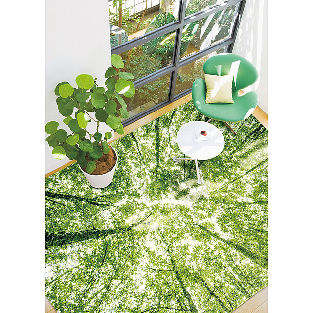 IKEHIKOのイケヒコ・コーポレーション-トルコ製　ウィルトン織カーペット『ガイア　RUG』約80×140ｃｍ の家具・インテリア写真
