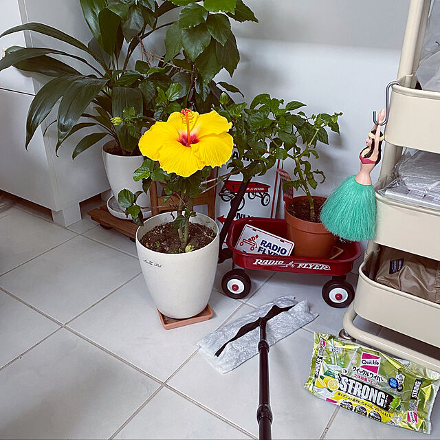 ulalauのコンポジット-Radio Flyer ラジオフライヤー リトルレッドワゴン Little Red Toy Wagon W5A おもちゃ入れ インテリア ディスプレイ ガーデニング ゴムタイヤ ハンドル付の家具・インテリア写真