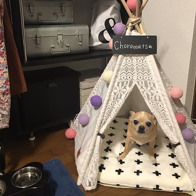 mika871のmilkee-milkee Milkee ティピーテント 犬小屋 ペット テント ハウス 犬 猫 遊び小屋 簡単組み立て 可愛い ホワイト Sの家具・インテリア写真