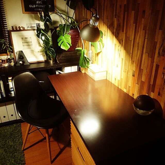 Shukaの-観葉植物 本物 モンステラ 6号 選べる鉢カバー付き (ブラウン)の家具・インテリア写真