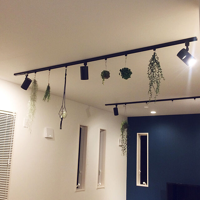 haru148cmの-【ディスキディア エメラルド】多肉植物　吊り多肉　スタンド付きの家具・インテリア写真