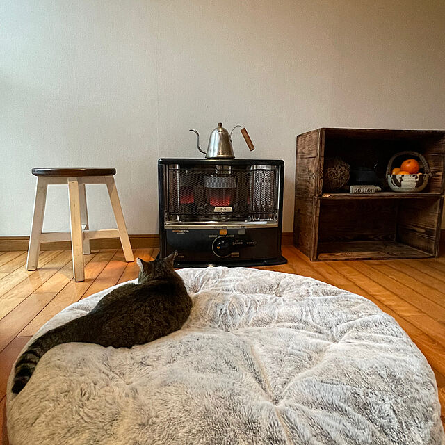kuma3の-【新柄登場】まるで猫！のようなモフモフ中わた入りサークル寛ぎクッション（猫Feel） (クッション・座布団/カーテン・ラグ・寝具)の家具・インテリア写真