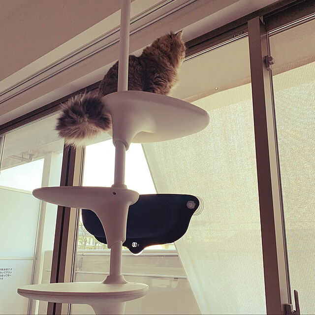 写真付きレビュー】猫ベッド 吸盤 ウィンドウベッド 猫 キャットベッド キャットハウス EZ Mount Window Bed KHの通販商品口コミ情報  | RoomClipショッピング