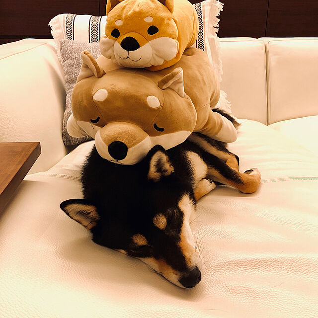 nuruiの-抱き枕 犬 抱き枕 動物 抱き枕 ぬいぐるみ 抱きぬいぐるみ　柴犬 ぬいぐるみの家具・インテリア写真