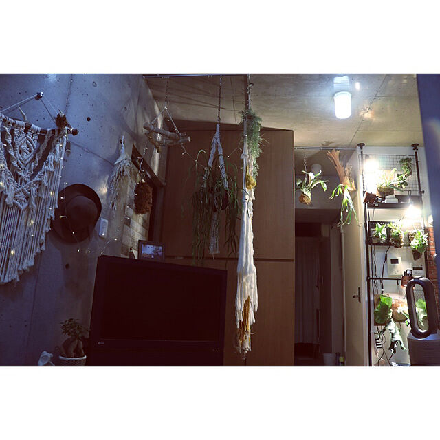 ChikakoのBozily-植物育成ライト 調光可能 植物ライト LED植物育成ライト 室内用ライト 日本語取扱説明書の家具・インテリア写真