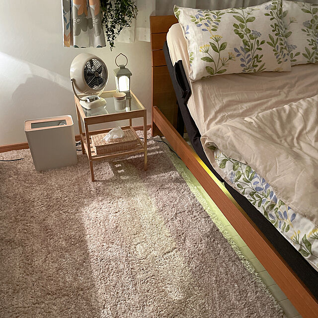 natsuのFlexiSpot-S5 電動ベッドの家具・インテリア写真