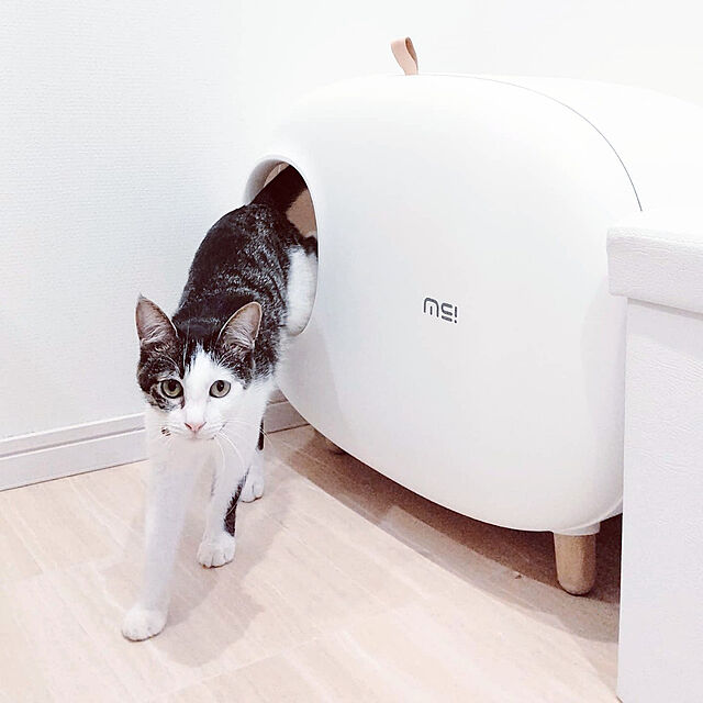 HELLO751のLJXLXY-猫のゴミ箱 大型猫のための高級大気猫のゴミ箱の半密閉された大きなスプラッシュプルーフ、消臭剤および消臭猫のトイレ ペットトイレ (Color : A)の家具・インテリア写真