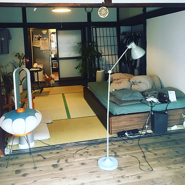 ken_c_loのオゼキ OZEKI-イサムノグチ ISAMU NOGUCHI AKARI 9ADの家具・インテリア写真