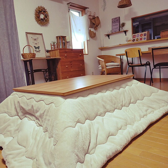 marcheのイケヒコ・コーポレーション-ラピアス PGY 190×240cm イケヒコ イケヒコ・コーポレーション 1181670130211の家具・インテリア写真