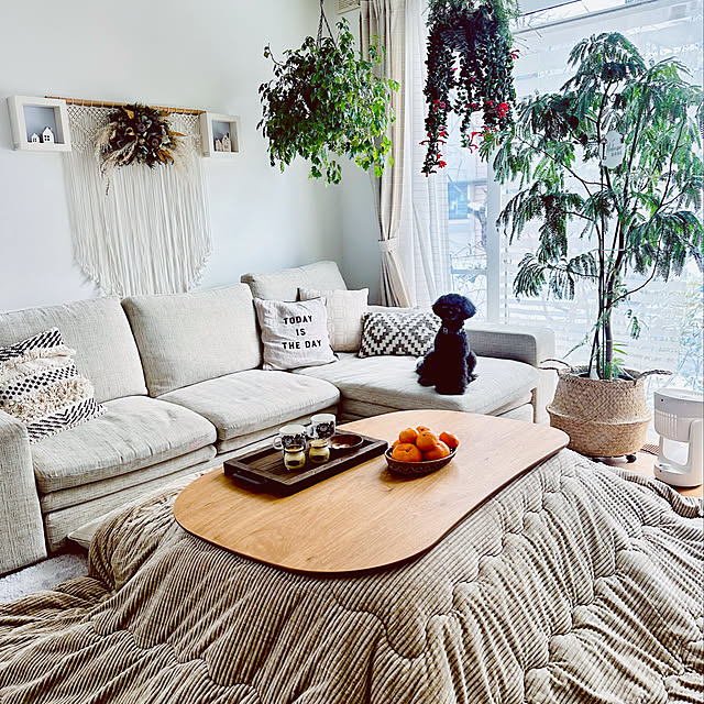 日本製 Rasmo こたつ テーブル 日美 クルミ 天然木 ローテーブル 座卓