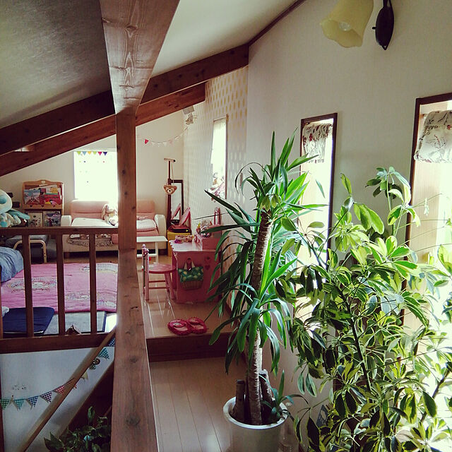prepreのニトリ-カラーボックスカーテン(キッズ リアム) の家具・インテリア写真
