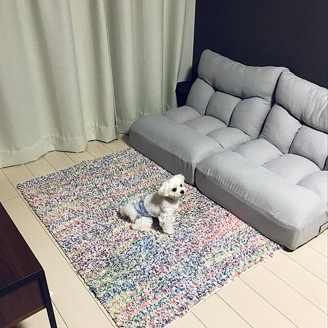 chiichimuのニトリ-つながるポケットコイル座椅子(レガ LGY) の家具・インテリア写真