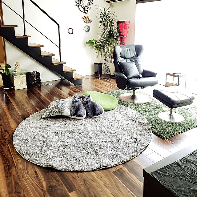 zenoのニトリ-モチモチクッション(マルオ) の家具・インテリア写真