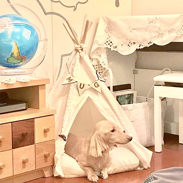 Yutsukiの-2017新品 犬小屋 ペットテント ティピーテント かわいい 犬用 猫用 ペットハウス テント室内用 取り外し可能 通気良い 小型犬 新品 2色選択可小さいホワイト クッションなしの家具・インテリア写真