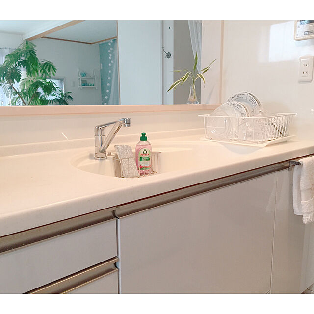 Rの-フロッシュ 食器用洗剤ザクロ ラップペン付(300mL)【フロッシュ(frosch)】の家具・インテリア写真