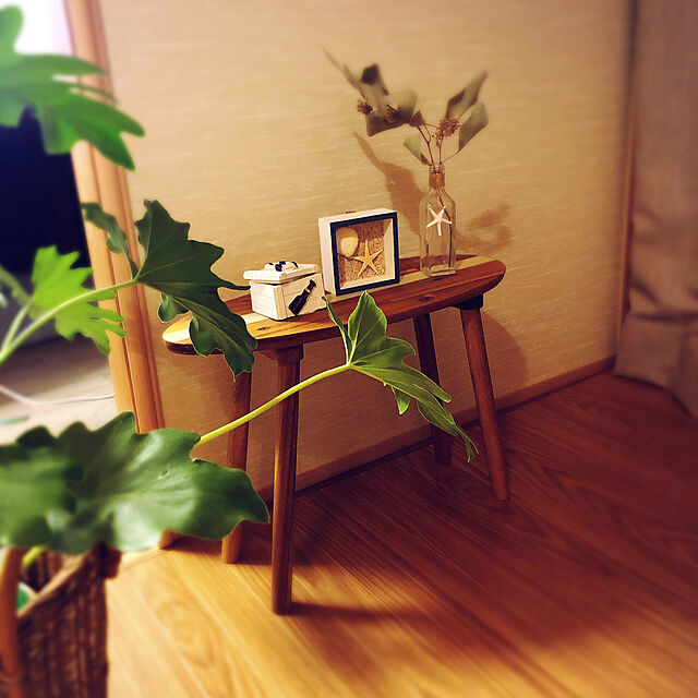 soraのニトリ-サーフボードプランター台 INS(S)  『玄関先迄納品』 『1年保証』の家具・インテリア写真