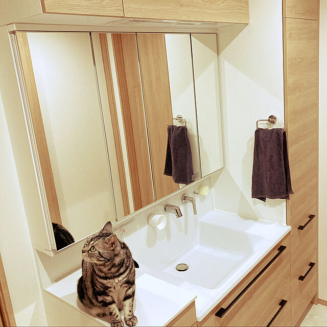 skyseaのマーナ-マーナ (marna) キッチンスポンジ リフィル POCO(ポコ) スポンジ 食器洗い ( 付け替え / 浮かせる収納 ) 台所用スポンジ グレー K675GYの家具・インテリア写真