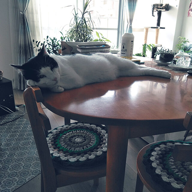 futukoのペティオ (Petio)-アドメイト　猫のおあそびポール　お魚ファミリー　ハイタイプ【目隠し梱包不可】の家具・インテリア写真