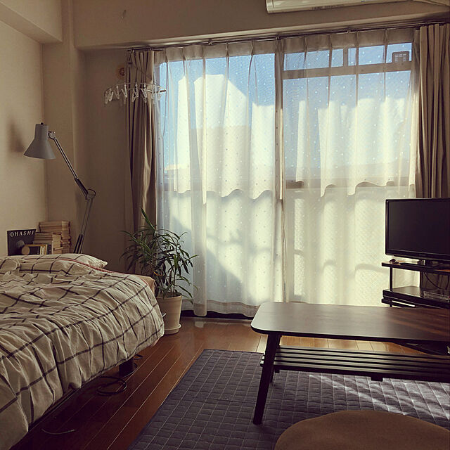 yuukiのニトリ-円形クッション(ホームBR) の家具・インテリア写真