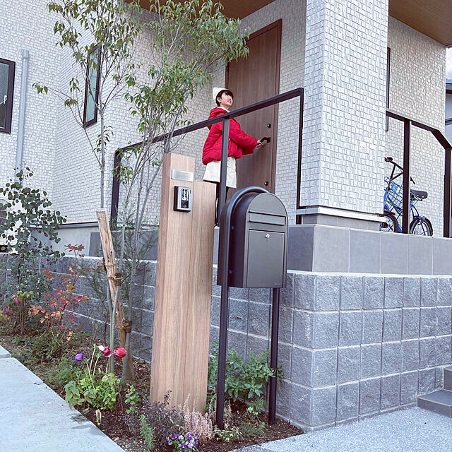 YY75の-丸葉ユーカリ 『 ポポラス 』 6号鉢植えの家具・インテリア写真