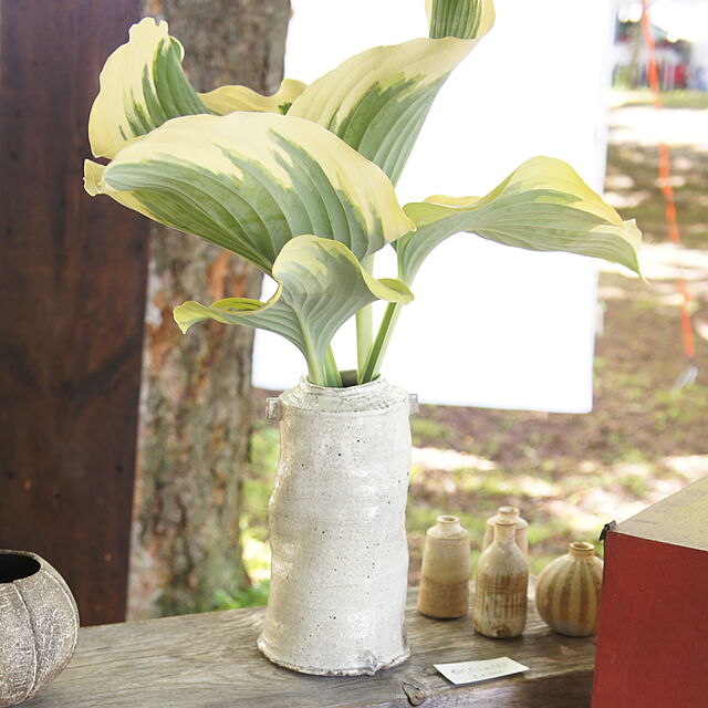 viewgardenの-陶房金沢 粉引 筒花瓶（大）の家具・インテリア写真