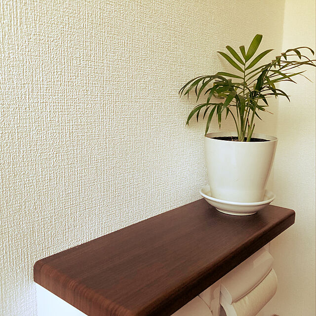 lilyの-テーブルヤシ　ロングスクエアポットの家具・インテリア写真