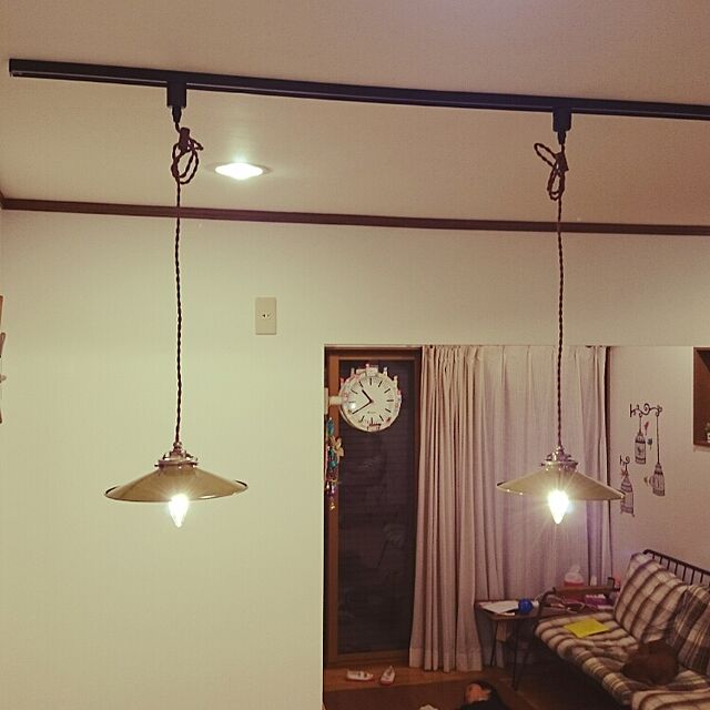yukari_arohaの-◎東芝　ライティングレール用プラグ（コードペンダント・パイプ吊兼用）　黒色（ブラック）　DR4003N(K)の家具・インテリア写真
