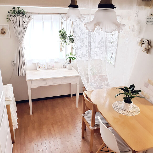 pinonのニトリ-プランターダマスク OCD(レッド) の家具・インテリア写真