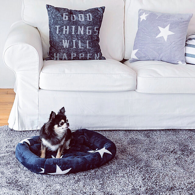 ofucaの-ペット用 ベッド ペット用品 クッション 楕円型　ペットベッド　犬猫　かわいい　送料無料 マイクロファイバーの家具・インテリア写真
