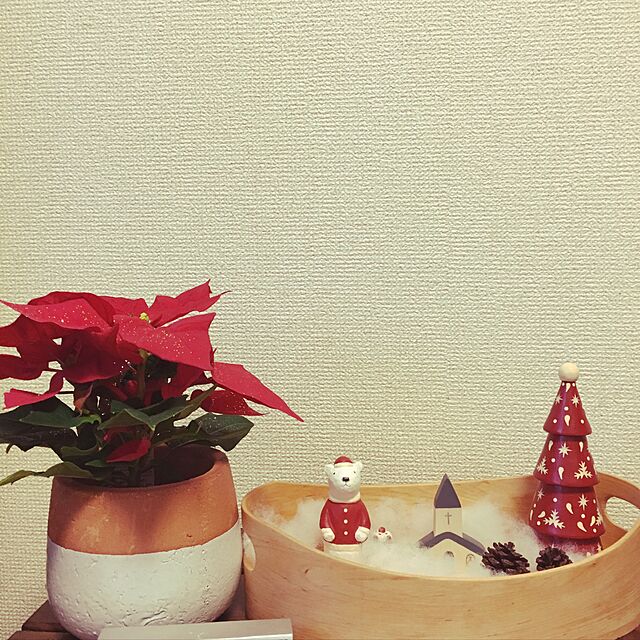 sakuchaの-ポインセチア可愛い真っ赤なテーブルサイズ　インテリア陶器鉢　受け皿付き　鉢植え♪景品や粗品にも♪【楽ギフ_包装】【楽ギフ_メッセ入力】クリスマスの準備に♪寒さに弱いため寒冷地のお届けは不可！の家具・インテリア写真